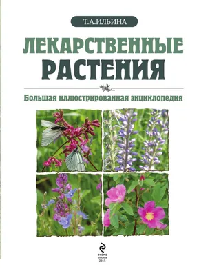 Раскраска Лекарственные Растения