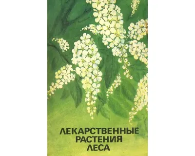 Раскраска лекарственные растения | Детские раскраски, распечатать, скачать