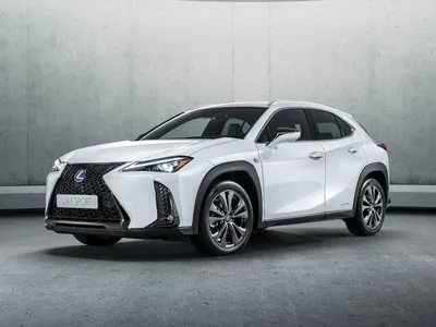 Lexus UX250h (Лексус Ух 250н) - Продажа, Цены, Отзывы, Фото: 42 объявления