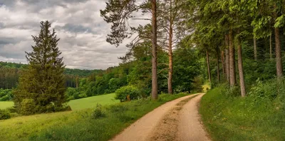 Лесная страна: ТОП-10 самых красивых лесов Германии