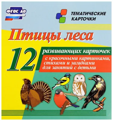 Нижегородцы стали чаще видеть в черте города лесных птиц | 18.03.2019 |  Нижний Новгород - БезФормата