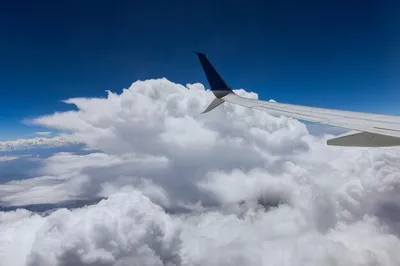 Во время посадки пассажир пытался выпрыгнуть из летящего самолета