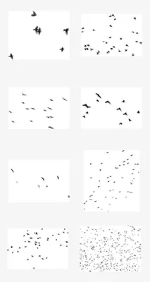 Стая птиц летящих в лесу Фон И картинка для бесплатной загрузки - Pngtree
