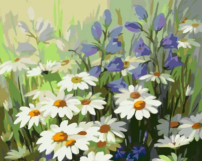 Летние цветы цветы растения PNG , Летний день, пресная, Литература и  искусство PNG рисунок для бесплатной загрузки