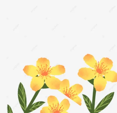 Летние цветы | Aloha Flowers | Дзен