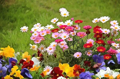 Сочный букет в тёплых, летних тонах - Доставка свежих цветов в Красноярске