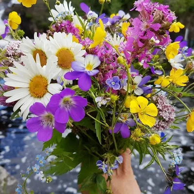 Огромный пышный букет летних цветов …» — создано в Шедевруме