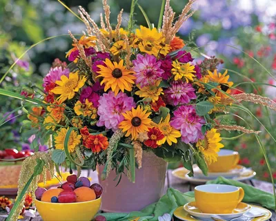 Самые популярные летние цветы. Как выбрать красивый летний букет цветов?