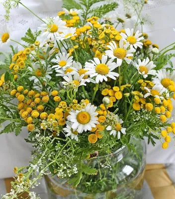 Пазл «Букет летних цветов» из 320 элементов | Собрать онлайн пазл №697
