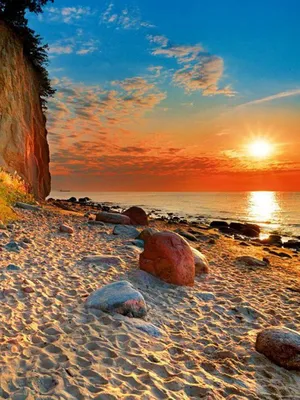 3D Фото обои лето море 368 x 254 см пляж (13034P8)+клей (ID#1400013172),  цена: 1200 ₴, купить на Prom.ua