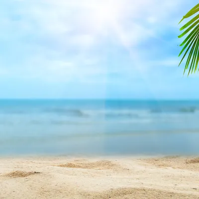 Картинка Море пляж тропическое лето » Лето картинки скачать бесплатно (298  фото) - Картинки 24 » Картинки 24 - скачать картинки бесплатно