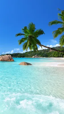 Картинки лето на заставку телефона (50 фото) • Прикольные картинки и позитив  | Tropical island beach, Beach wallpaper, Beautiful beaches