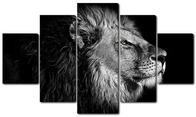 Фотообои черно-белые 368x280 см 3D Животные - лев (13996P10)+клей купить по  цене 1400,00 грн