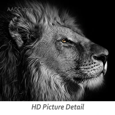 Лев черно белый - 57 фото