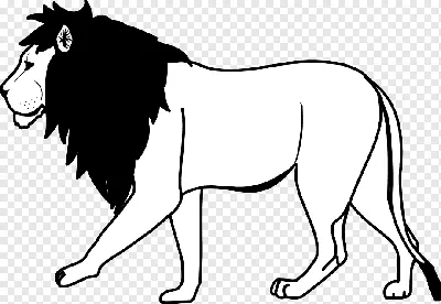 черно белое фото большого злого рычащего льва профиль портрет короля  джунглей большая пятерка сафари дикие животные южной африки Фон И картинка  для бесплатной загрузки - Pngtree