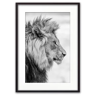 Иллюстрация льва с черно-белым стилем | Премиум векторы