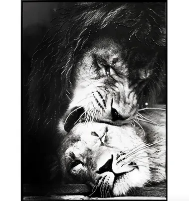 Картина на холсте с подрамником ХитАрт красивая львица в лесу 52 40x60; лев;  львица - купить по низкой цене в интернет-магазине OZON (686933794)