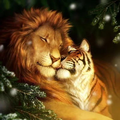 Львов и львиц смешные - картинки и фото koshka.top