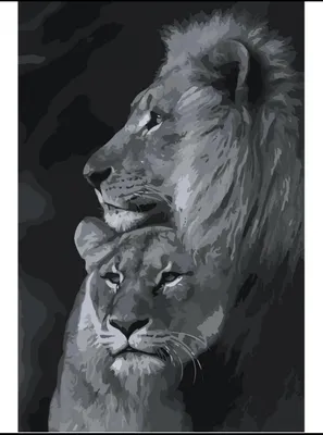 Живопись по номерам Лев и львица Арт: 19106049 - «Моё любимое хобби,  которое спасает от вечно думающей головы!» | отзывы