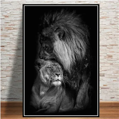 Лев и львица в клетке стоковое фото. изображение насчитывающей плен -  182018276