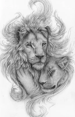 Лев и львица - 75 фото