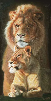 Скачать 1280x960 лев, львица, детеныши, семья, хищники обои, картинки  стандарт 4:3