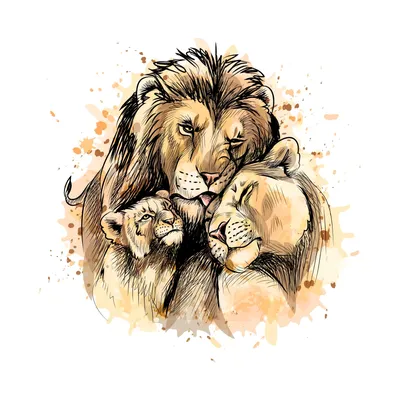 Картинки лев и львица фотографии