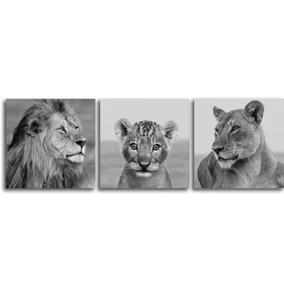 Картинки лев и львица - 80 фото
