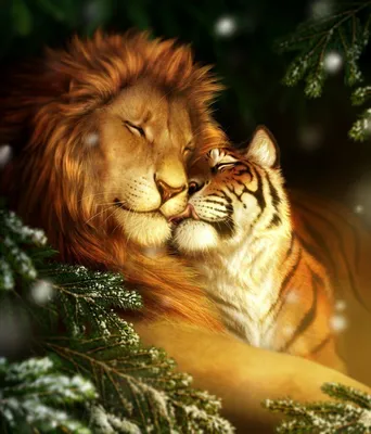 Картинки лев и тигр фотографии