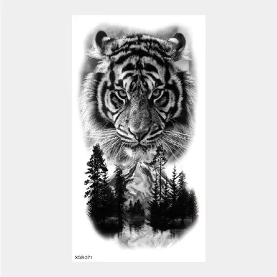 Картина Лев - Тигр (43 х 3 х 53 см) - купить, цена, отзывы в Эстонии |  sellme.ee