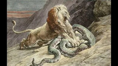Эскиз тату лев и змея | Colouring pages, Humanoid sketch, Art