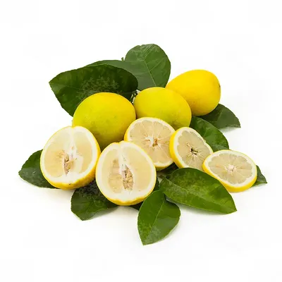 Лимон и цветение стоковое изображение. изображение насчитывающей взорвать -  38167007