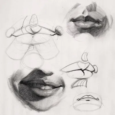 Простые рисунки лица карандашом для начинающих поэтапно (48 фото) » рисунки  для срисовки на Газ-квас.ком