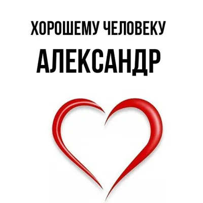 Алексей Логвиненко: «Я хочу поздравить каждого, кто с честью исполняет свой  долг, кто трудится на благо нашего любимого города» | ROSTOF.RU