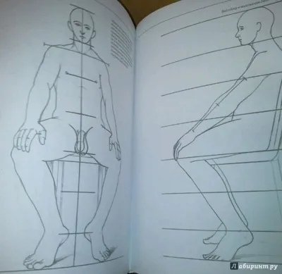 Рисунки с изображением человека в движении для учеников 7 класса