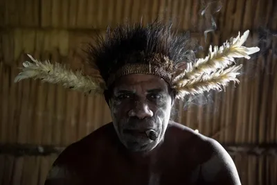 Племя людоедов изнутри: каннибалы из Новой Гвинеи, которые съели Рокфеллера  60 лет назад » BigPicture.ru