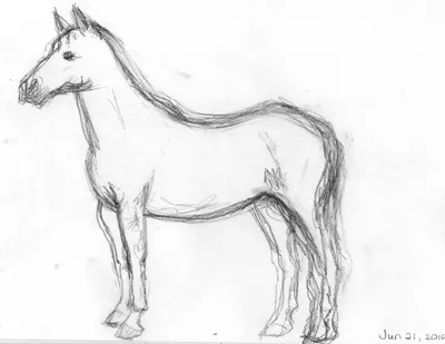 Простой рисунок лошади карандашом для срисовки - 45 фото