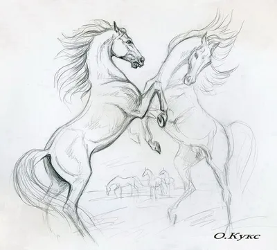 Рисунки для срисовки табун лошадей (56 фото) 🔥 Прикольные картинки и юмор  | Рисунки, Конское искусство, Лошадиное искусство
