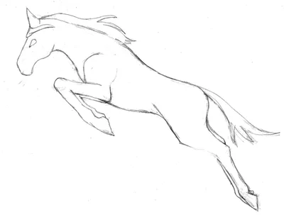 Лошадь рисунок поэтапно в полный рост - 45 фото
