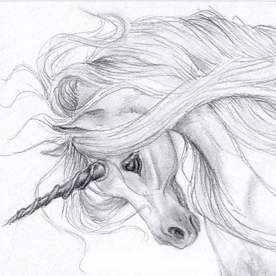 Рисунки для срисовки карандашом сложные — Стихи, картинки и любовь |  Единорожье искусство, Реалистичные рисунки, Рисунки лошади