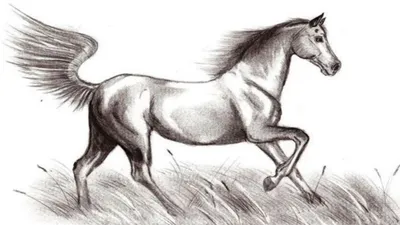 Лошадь рисунок детский - 65 фото