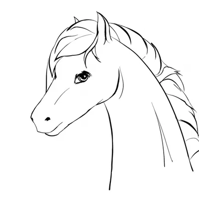 Идеи для срисовки голова лошади (90 фото) » идеи рисунков для срисовки и  картинки в стиле арт - АРТ.КАРТИНКОФ.КЛАБ