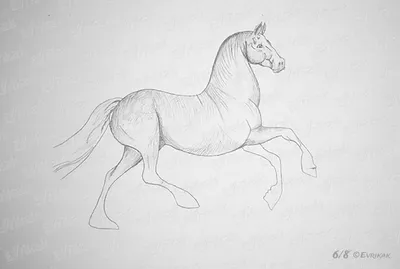 Картинки лошади для срисовки карандашом