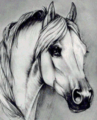 Рисунки лошади легкие для срисовки - 60 фото