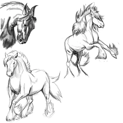 Рисунки для срисовки табун лошадей (56 фото) 🔥 Прикольные картинки и юмор