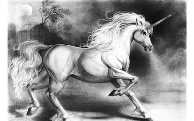 Silhouetted изображения лошадей, единорогов, и Пегаса Иллюстрация вектора -  иллюстрации насчитывающей миф, королевство: 117772636