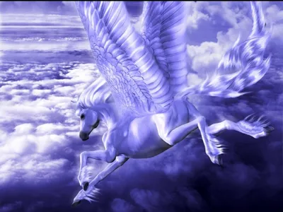 Пегас подогнал легендарное летание белой лошади с распространенными  крыльями Стоковое Фото - изображение насчитывающей летание, лошадиный:  143458692