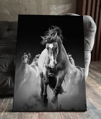 рисунок двух бегущих лошадей, нарисованные картинки лошадей фон картинки и  Фото для бесплатной загрузки