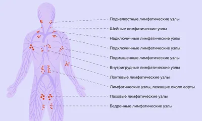 Книга Лу! Книга 4. Идиллия - купить детской художественной литературы в  интернет-магазинах, цены на Мегамаркет |