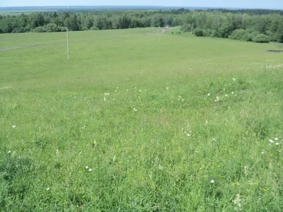 Панорама Горного Луга Со Скалами — стоковые фотографии и другие картинки  Гора - Гора, Пик, Скала - iStock